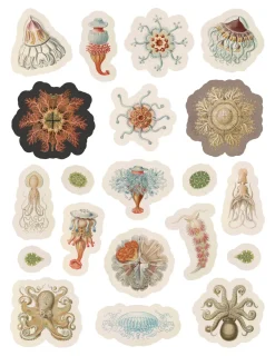 Pomegranate Ernest Haeckel: Art Forms in Nature Sticker Book- Coloring Books & Crafts|Activity Books