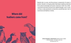 Pomegranate Evolutionary Curiosities Knowledge Cards- Games & Puzzles