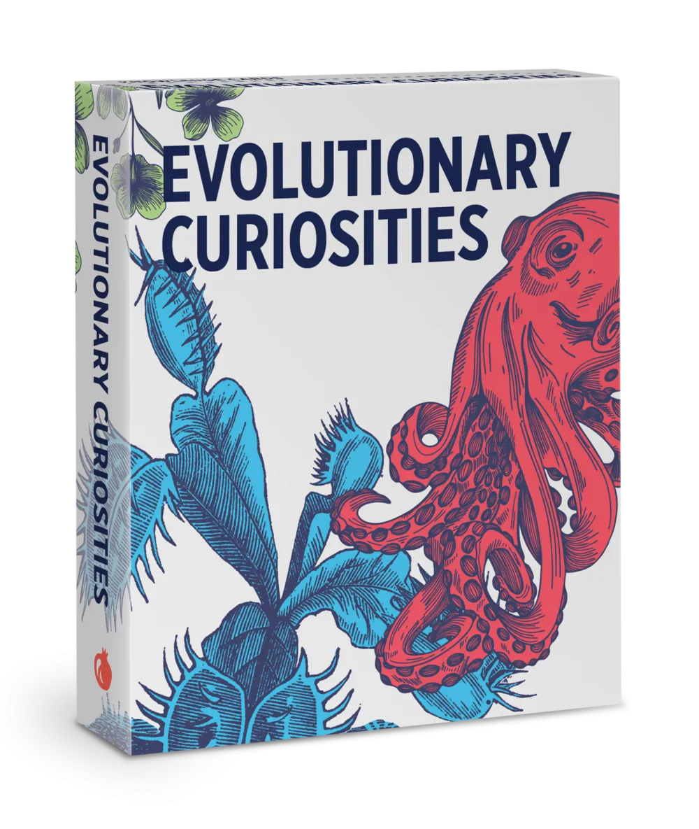 Pomegranate Evolutionary Curiosities Knowledge Cards- Games & Puzzles