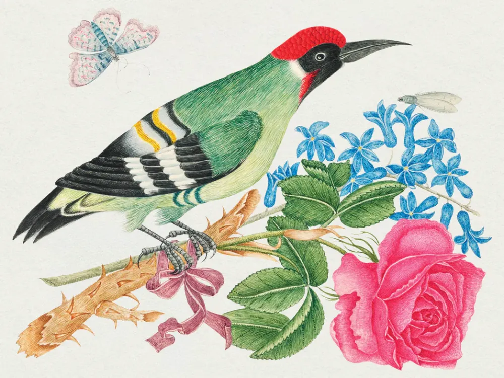 Pomegranate Flowers, Birds, & Butterflies Celebrations Boxed Notecards- Boxed Cards