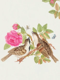 Pomegranate Flowers, Birds, & Butterflies Celebrations Boxed Notecards- Boxed Cards