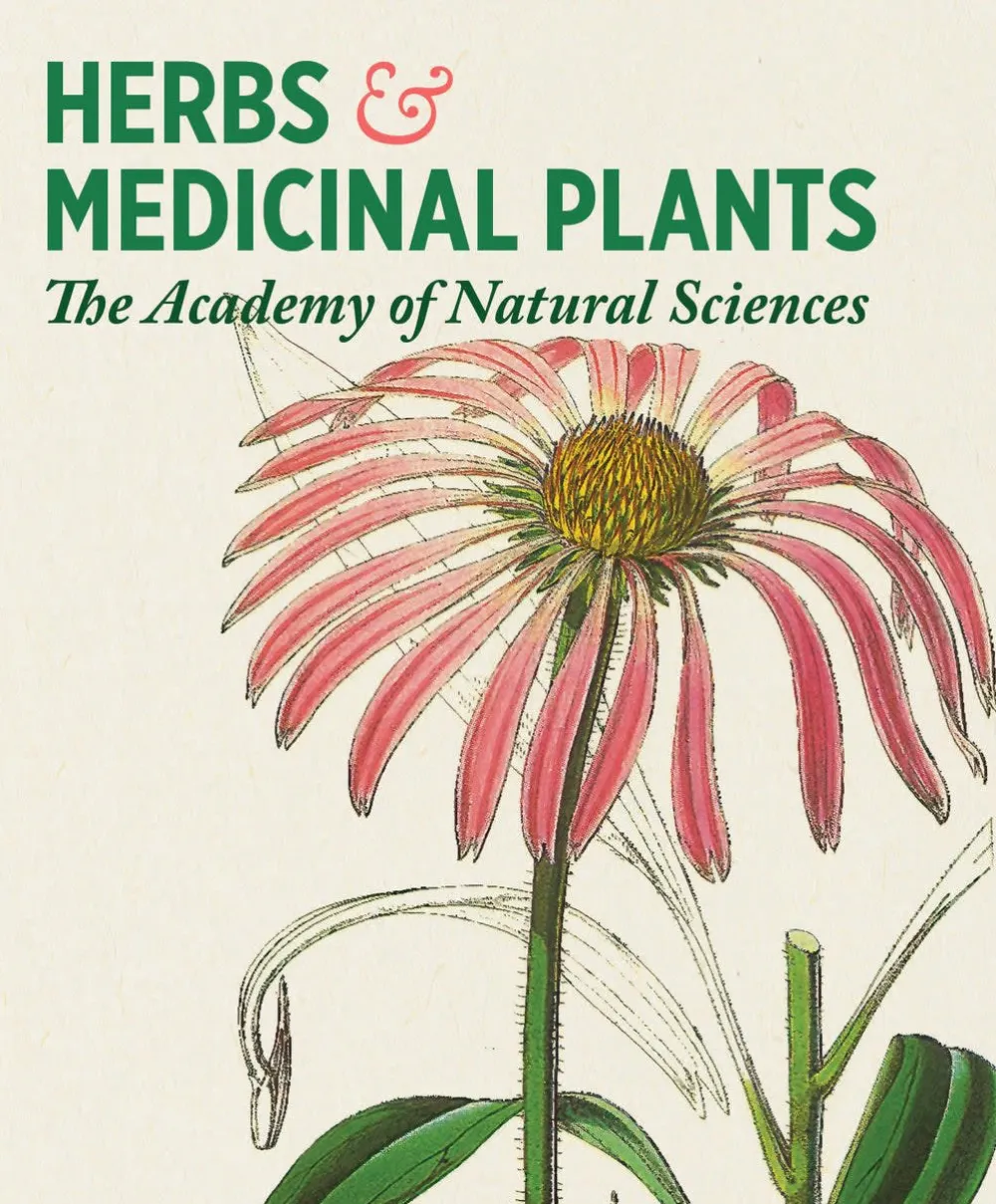 Pomegranate Herbs & Medicinal Plants Knowledge Cards- Games & Puzzles
