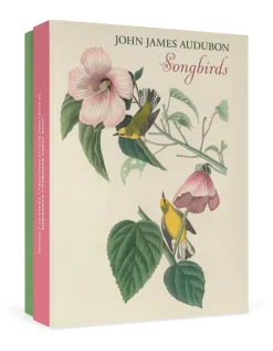 Pomegranate John James Audubon: Songbirds Boxed Notecard Assortment- Boxed Cards