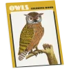 Pomegranate Owls Coloring Book- Coloring Books & Crafts|Books
