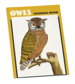 Pomegranate Owls Coloring Book- Coloring Books & Crafts|Books