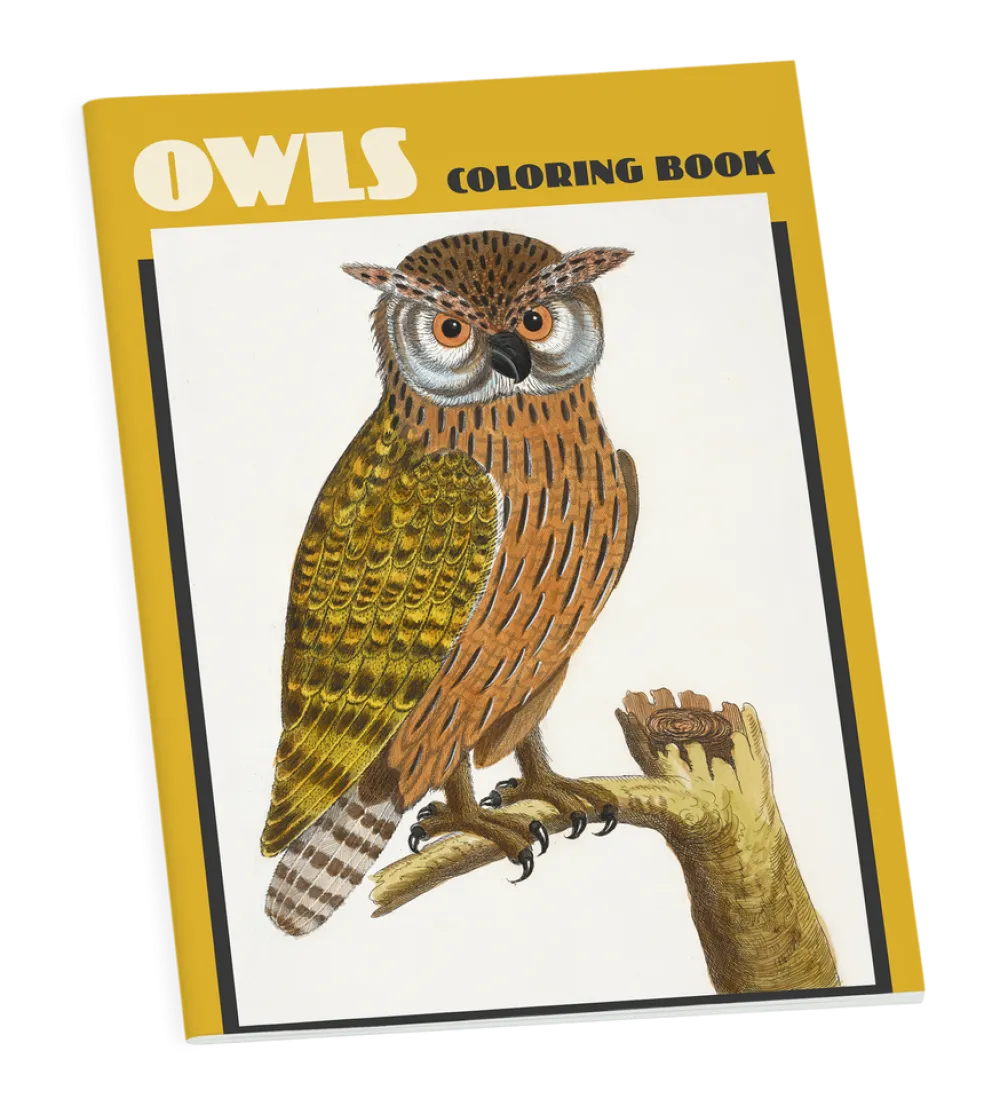 Pomegranate Owls Coloring Book- Coloring Books & Crafts|Books