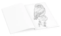 Pomegranate Owls Coloring Book- Coloring Books & Crafts|Books