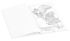 Pomegranate Owls Coloring Book- Coloring Books & Crafts|Books