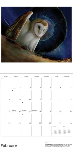 Pomegranate Owls: Jeannine Chappell 2026 Wall Calendar- Calendars