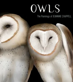 Pomegranate Owls: The Paintings of Jeannine Chappell- Books