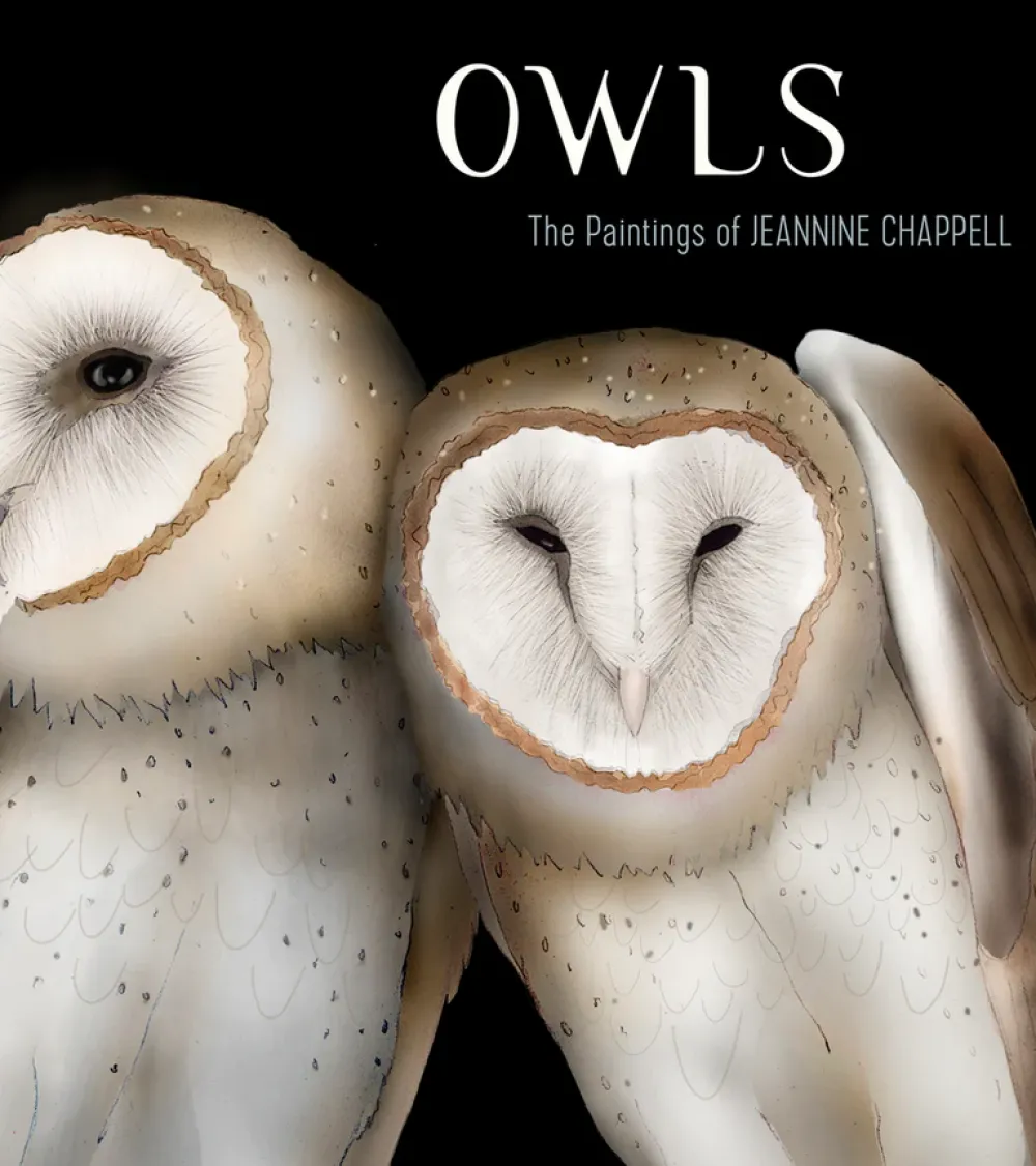 Pomegranate Owls: The Paintings of Jeannine Chappell- Books