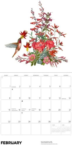 Pomegranate Pollinators 2026 Wall Calendar- Calendars