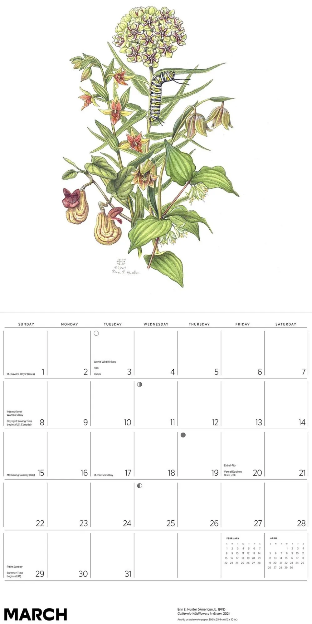 Pomegranate Pollinators 2026 Wall Calendar- Calendars