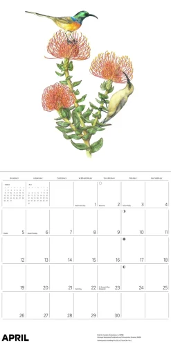 Pomegranate Pollinators 2026 Wall Calendar- Calendars
