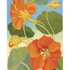 Pomegranate Siri Schillios Nasturtium Boxed Thank You Notes- Boxed Cards