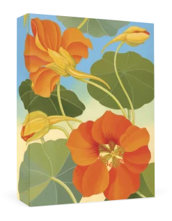 Pomegranate Siri Schillios Nasturtium Boxed Thank You Notes- Boxed Cards