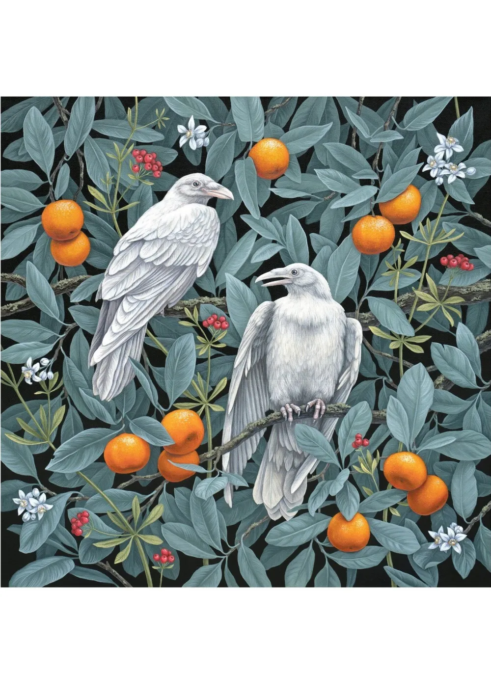 Pomegranate Vasilisa Romanenko: Birds of a Feather Boxed Notecard Assortment- Boxed Cards