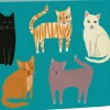 Pretty Paws Boxed Notecards- Boxed Cards