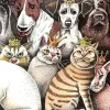 Reigning Cats & Dogs Greeting Card- Greeting Cards