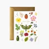 Rifle Paper Co. Curio Thank You Card- Greeting Cards