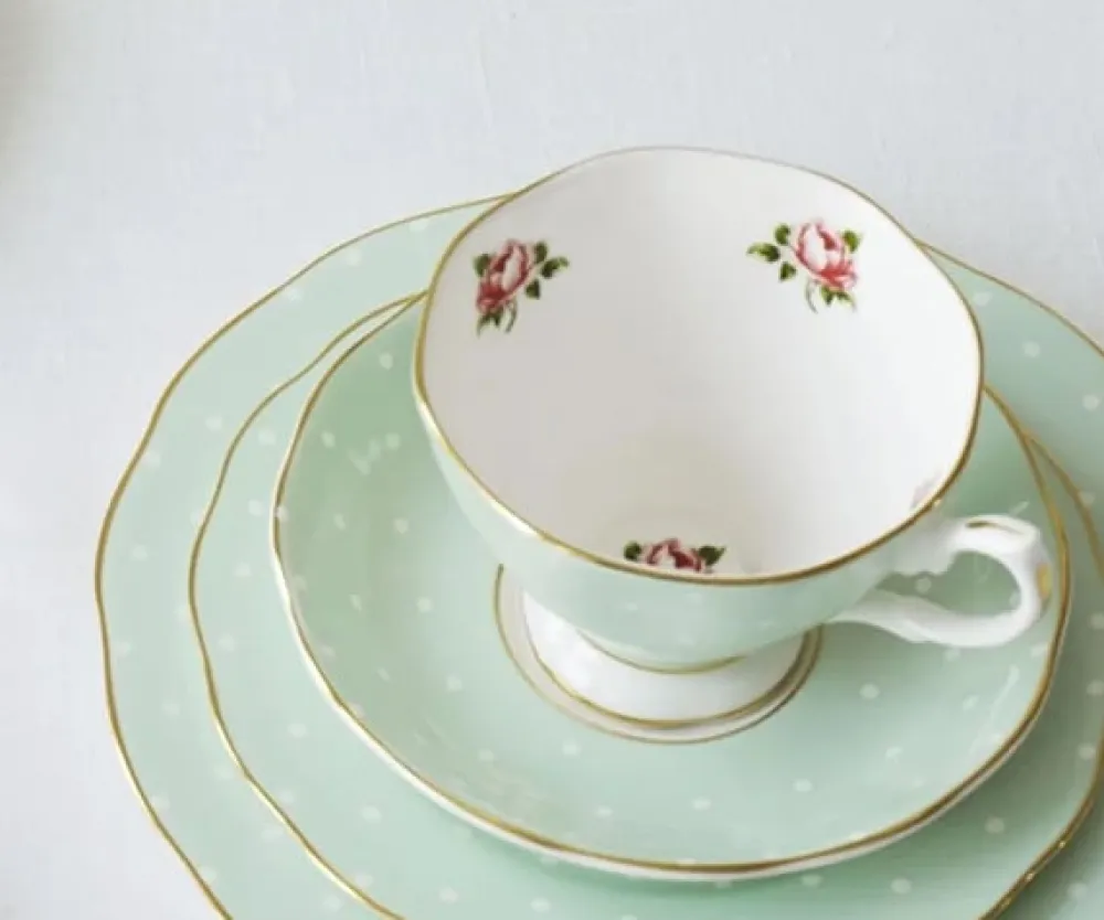 Royal Albert Polka Rose Vintage Teacup & Saucer- Teacups & Saucers