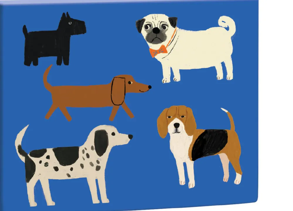 Shaggy Dogs Boxed Notecards- Boxed Cards