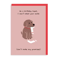 Steal Your Socks Birthday Card- Greeting Cards