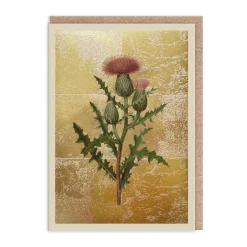 Thistle Card- Greeting Cards