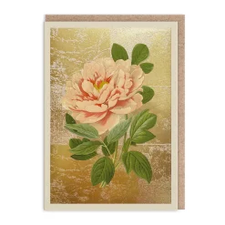 Tree Peony Card- Greeting Cards