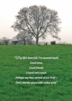 Undue Grief Irish Sympathy Card- Greeting Cards