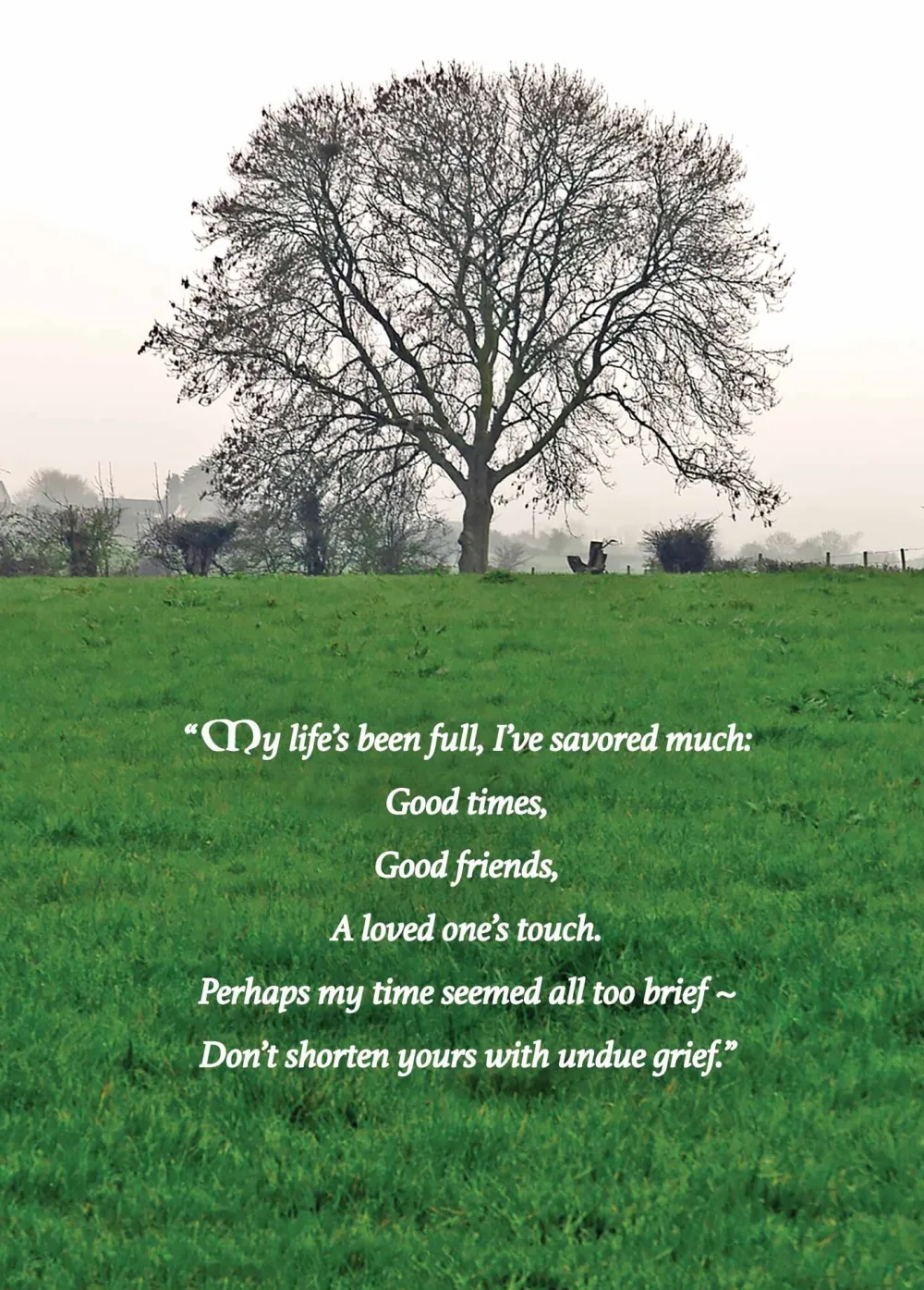 Undue Grief Irish Sympathy Card- Greeting Cards