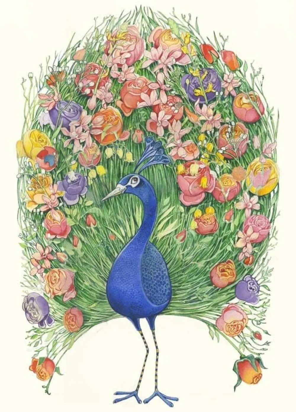Watercolor Peacock Greeting Card- Greeting Cards