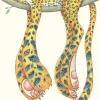 Watercolour Leopard Asleep Greeting Card- Greeting Cards