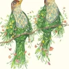 Watercolour Two Scruffy Thrushes Greeting Card- Greeting Cards