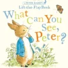 What Can You See, Peter?- Beatrix Potter|Toys