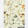 Woodland Mushrooms Softcover Notebook (Dot Grid)- Journals & Other Stationery
