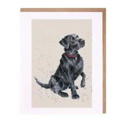 Wrendale A Dogs Life 'Jack' Labrador Greeting Card- Greeting Cards