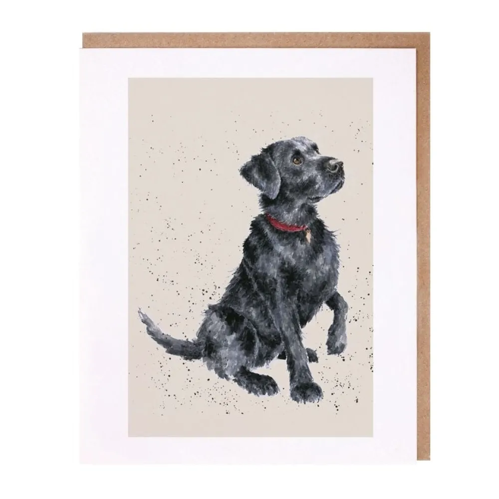 Wrendale A Dogs Life 'Jack' Labrador Greeting Card- Greeting Cards