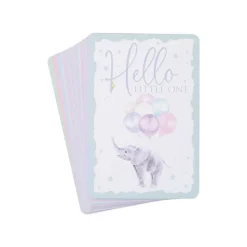 Wrendale Baby Animal Milestone New Baby Boxed Cards- Boxed Cards