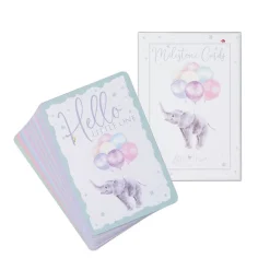 Wrendale Baby Animal Milestone New Baby Boxed Cards- Boxed Cards