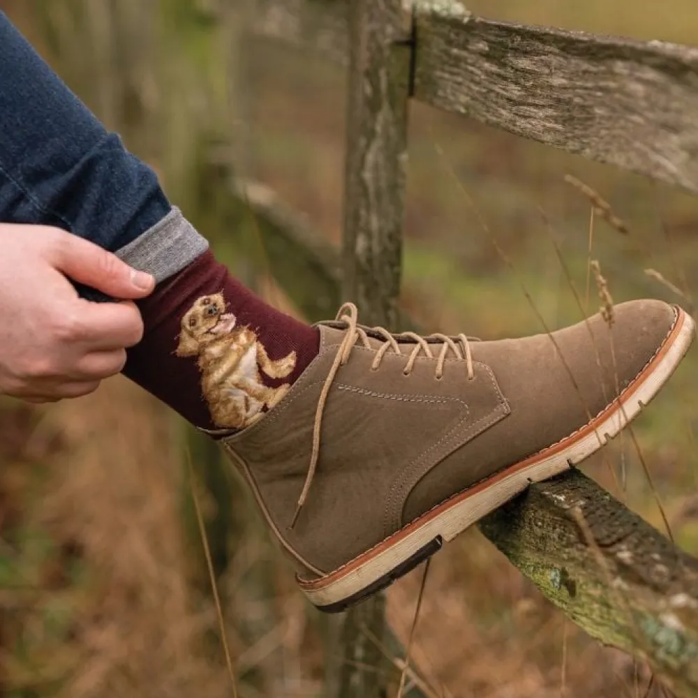 Wrendale 'Good as Gold' Labrador Men's Socks- Socks