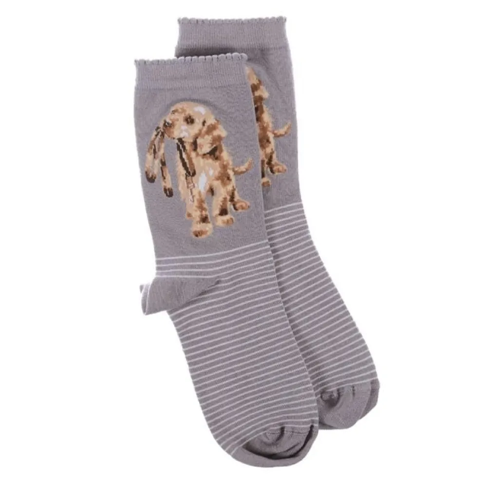 Wrendale 'Hopeful' Labrador Gray Women's Socks- Socks