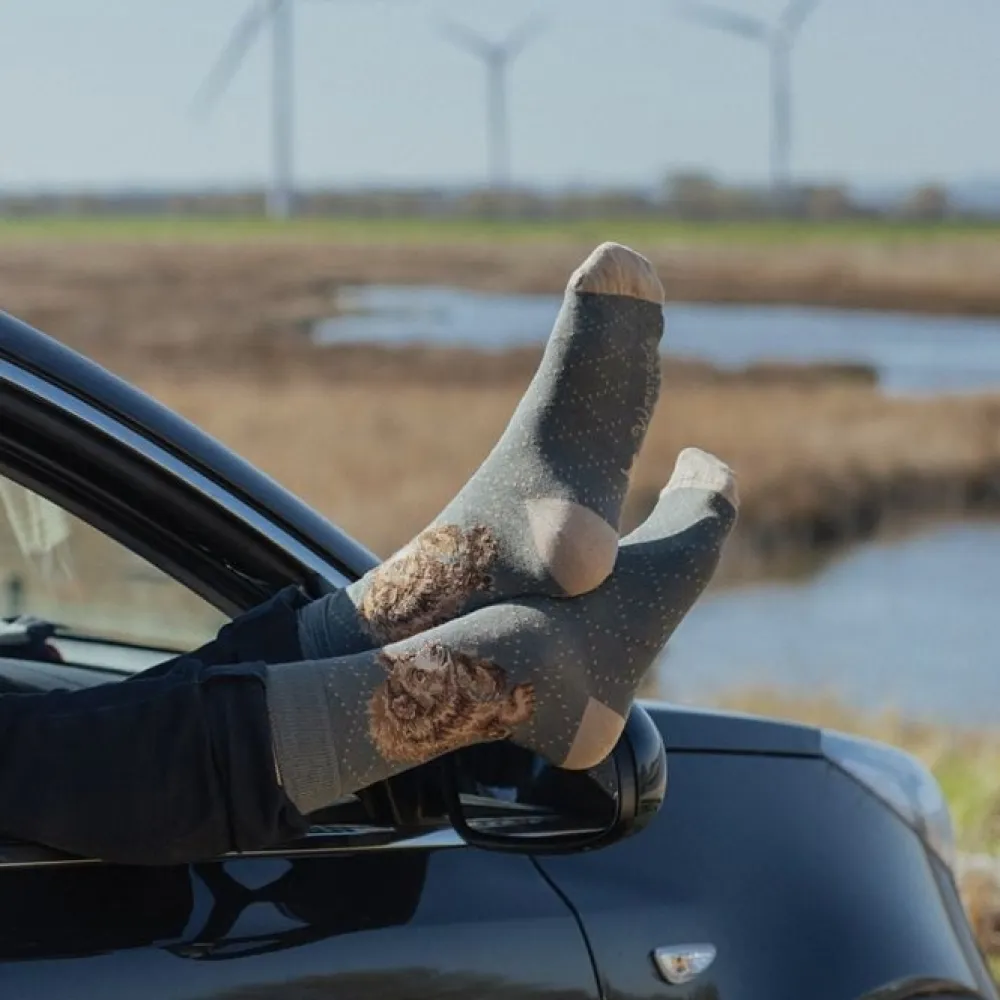 Wrendale 'In My Footsteps' Bear Men's Socks- Socks