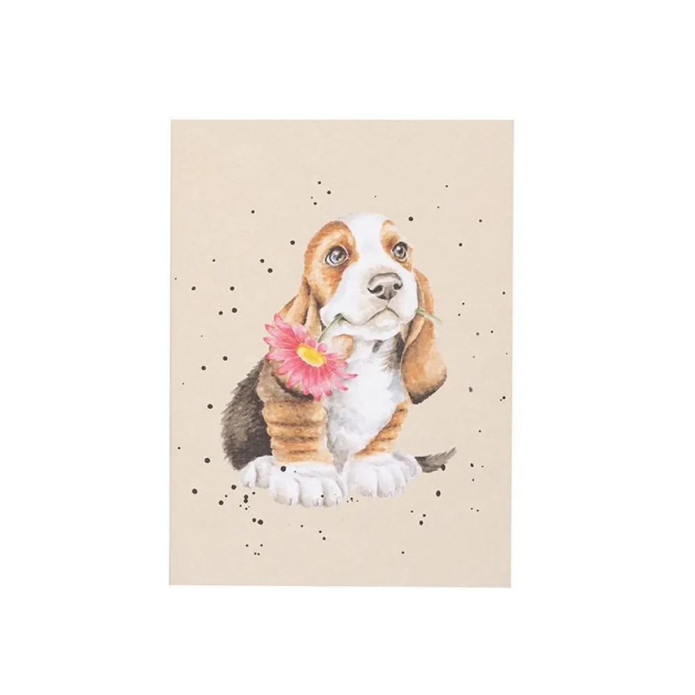 Wrendale Just for You Basset Hound Small Notebook- Journals & Other Stationery