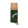 Wrendale 'The Country Gent' Badger Men's Socks- Socks