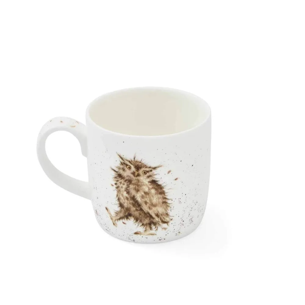 Wrendale What A Hoot Owl Small Mug- Assorted Mugs