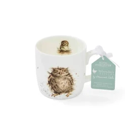 Wrendale What A Hoot Owl Small Mug- Assorted Mugs