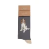 Wrendale 'Willow' Spaniel Men's Socks- Socks